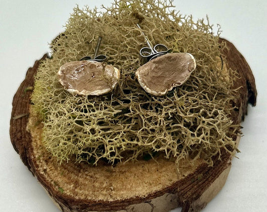 Polypore Mushrooms Earrings