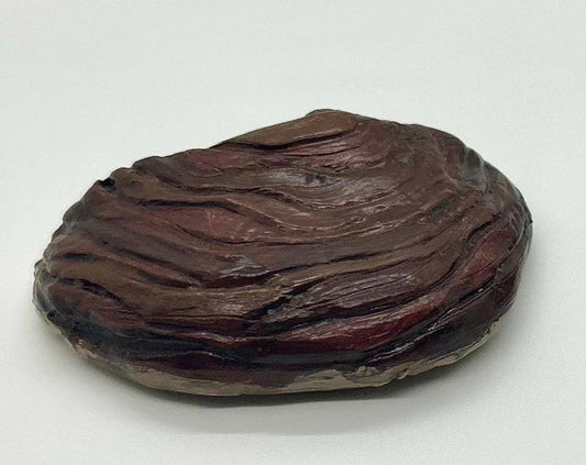 Reishi Mushrooms Magnets